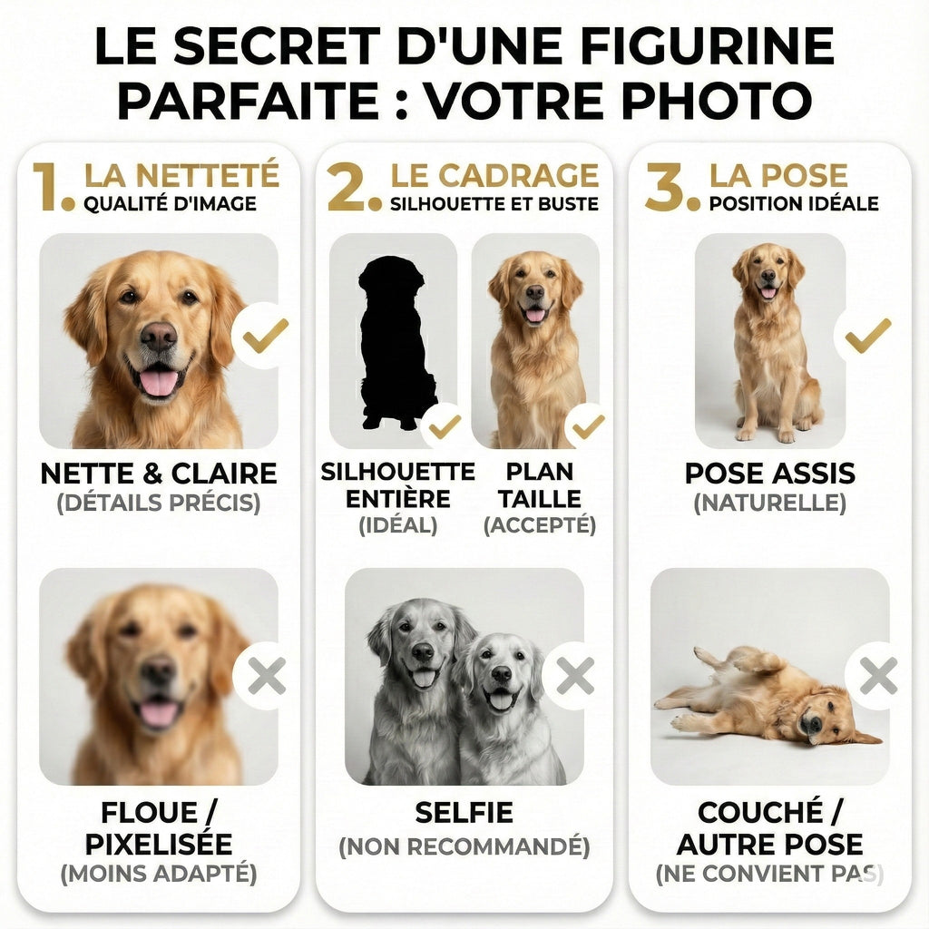 Guide photo pour figurine animal personnalisée 3D - consignes de création Unyka
