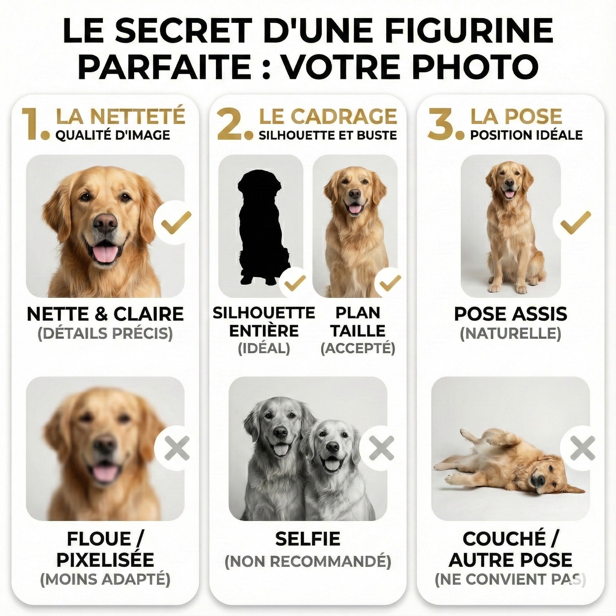 Guide photo pour figurine animal personnalisée 3D - consignes de création Unyka